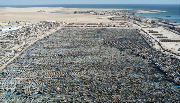 Reprise des activités de pêche artisanale à Nouadhibou