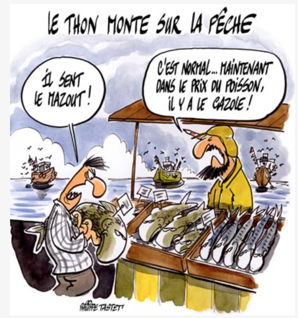 La SMCP annonce un chiffre d’affaires record en 2025 : 782 millions de dollars