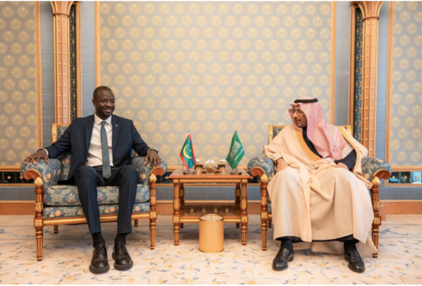Le ministre des Mines discute avec son homologue saoudien du développement du partenariat entre les deux pays