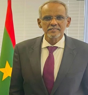 Encore un brûlot sur Cheikhna Ould Nenni, en 2026 !!! Triste plume...