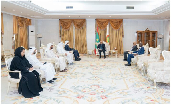 Le Président de la République reçoit une délégation émiratie de haut niveau Le Président de la République reçoit une délégation émiratie de haut niveau