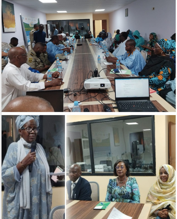 Prévention des violences et promotion des droits: les acteurs clés mobilisés Prévention des violences et promotion des droits: les acteurs clés mobilisés