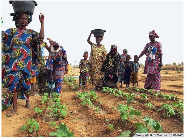 Un responsable allemand : l’agriculture représente 20 % de l’économie mauritanienne et la proximité de l’Europe constitue un avantage concurrentiel Un responsable allemand : l’agriculture représente 20 % de l’économie mauritanienne et la proximité de l’Europe constitue un avantage concurrentiel