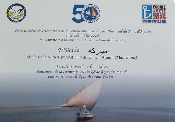 Le PNBA invité au festival Escale à Sète Le PNBA invité au festival Escale à Sète