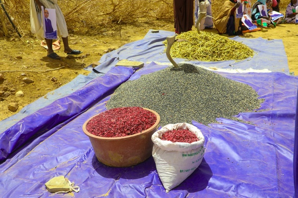 Le Délégué général de TAAZOUR, SIDI Moulaye Zeine, inaugure deux barrages dans la commune d’El Baten, dans la moughataa de Oualata