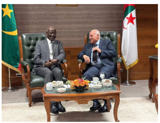 Le ministre des Affaires étrangères rencontre son homologue algérien