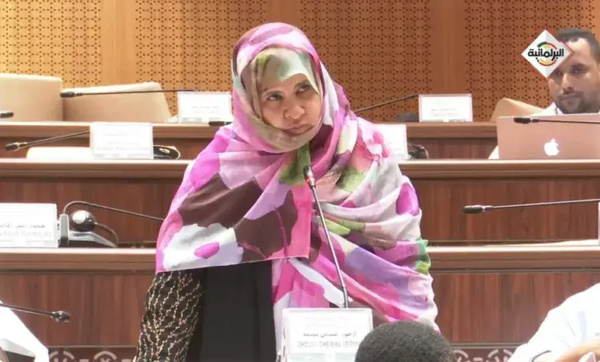 Une députée à propos du nouveau code des marchés publics : « la porte reste ouverte à tous les abus et tous les dysfonctionnements »