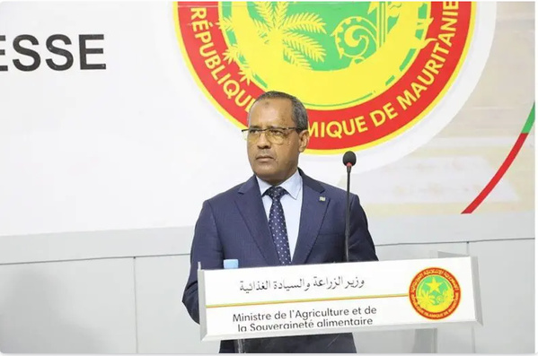 Le ministre de l’agriculture : « la production agricole en Mauritanie a atteint 985 000 tonnes »