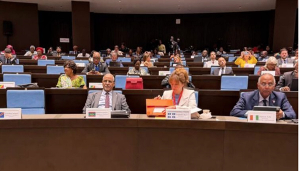 Élection du candidat de la Mauritanie à la présidence du Réseau des jeunes parlementaires de l’Assemblée parlementaire de la Francophonie