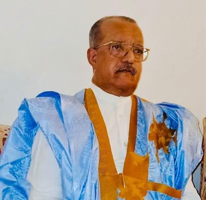 La démocratie du Sud et les mandats présidentiels.Par Hamoud Ould Ely, ancien ministre et ancien ambassadeur La démocratie du Sud et les mandats présidentiels.Par Hamoud Ould Ely, ancien ministre et ancien ambassadeur