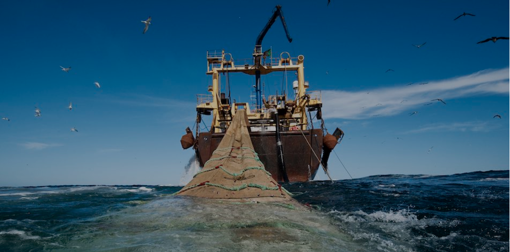 Pêche industrielle et artisanale : La Mauritanie durcit sa législation
