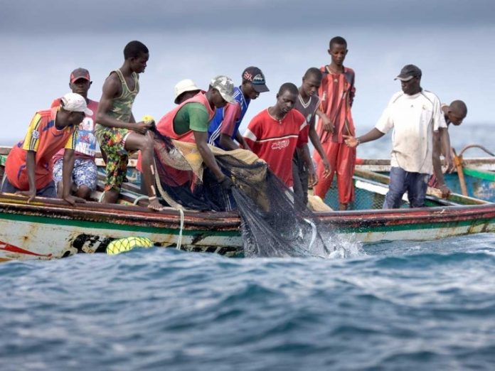 Le poisson devient cher en Mauritanie après la suspension des pêcheurs sénégalais