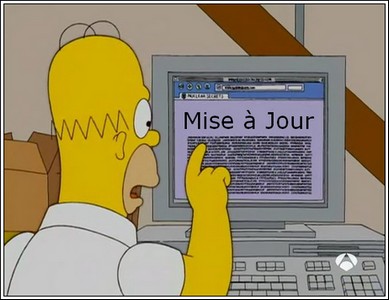 Ultime aberration de notre constitution arrivage : le conseil constitutionnel ne peut rien face à l'article 38...