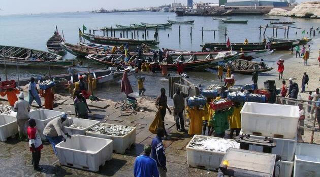 Nouadhibou : le capitaine d’une embarcation arrêté par la police chargée de lutter contre le trafic