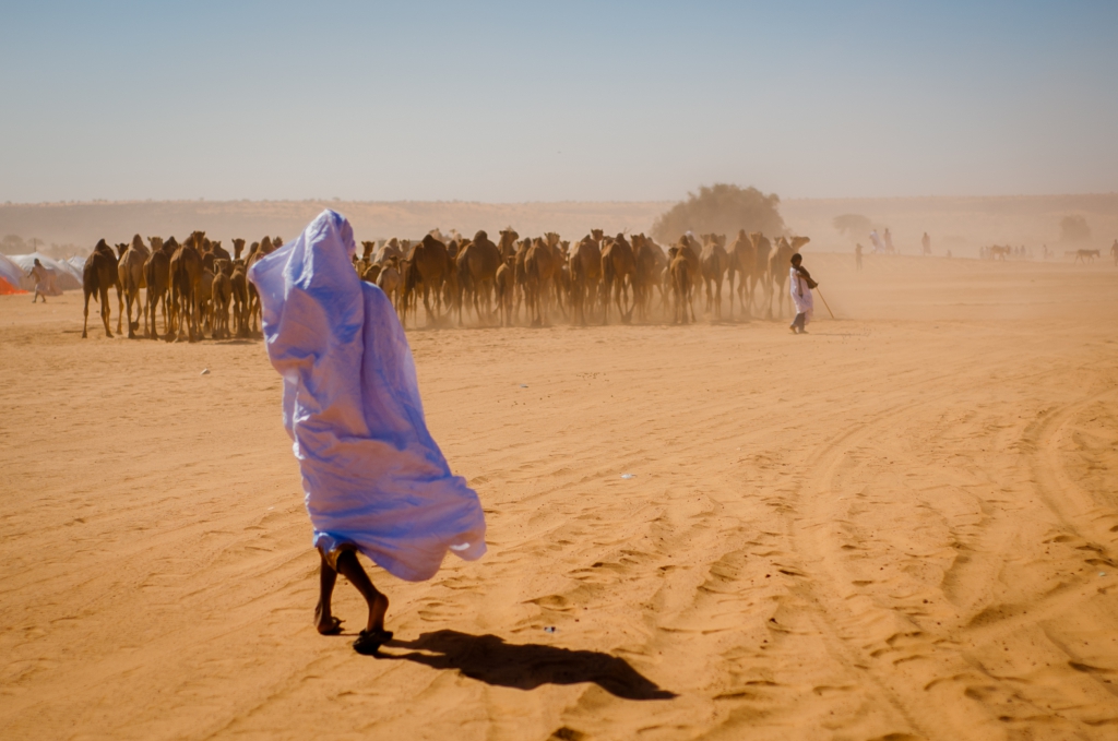 Le saviez-vous : en Mauritanie,  la diya officielle fixe la vie d’un humain à 1,2 million tout simplement…