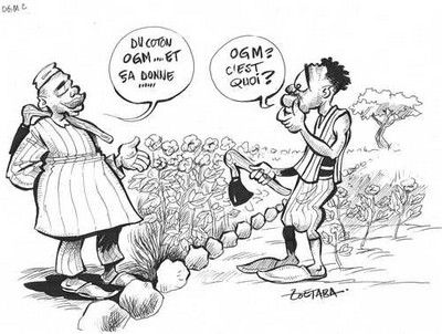 Distribution de 74 tonnes de semences traditionnelles aux agriculteurs Distribution de 74 tonnes de semences traditionnelles aux agriculteurs