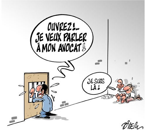 Le Sénat adopte le projet de loi organique régissant l’organisation et le fonctionnement de la CNDH