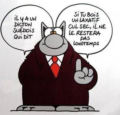 Organisation d’une conférence sur les réformes constitutionnelles et leurs répercussions sur le développement local