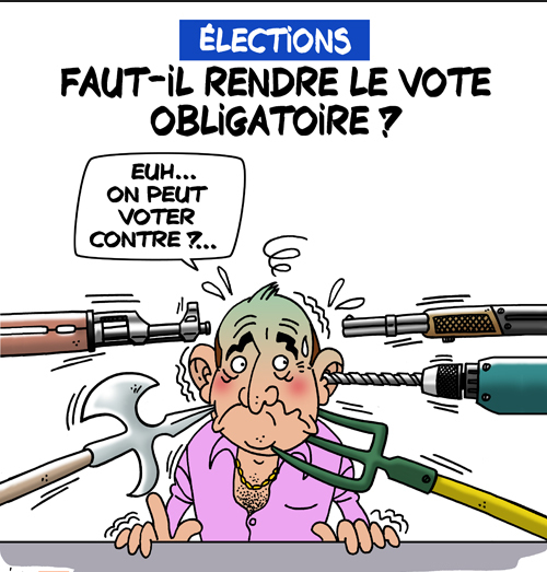 Mauritanie : le référendum sur la révision constitutionnelle à l’épreuve de l’abstention