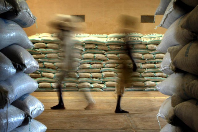 Mauritanie: 24 mille tonnes de riz local perdues pour la consommation