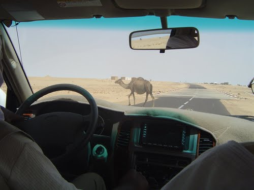 Le wali de l’Inchiri achève sa visite à Bénichab et des villages qui en relèvent Le wali de l’Inchiri achève sa visite à Bénichab et des villages qui en relèvent