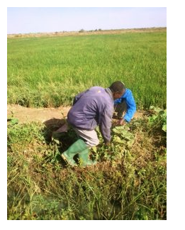 M’Pourié : la « succes story » de Mohamed Saleck M’Pourié : la « succes story » de Mohamed Saleck