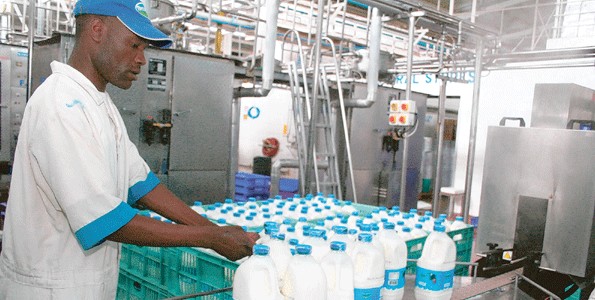 La ministre de l’élevage réceptionne deux unités complètes de fabrication de lait