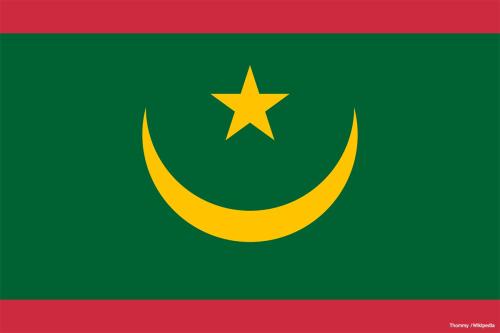 Mauritanie: les nouveaux symboles nationaux prêts