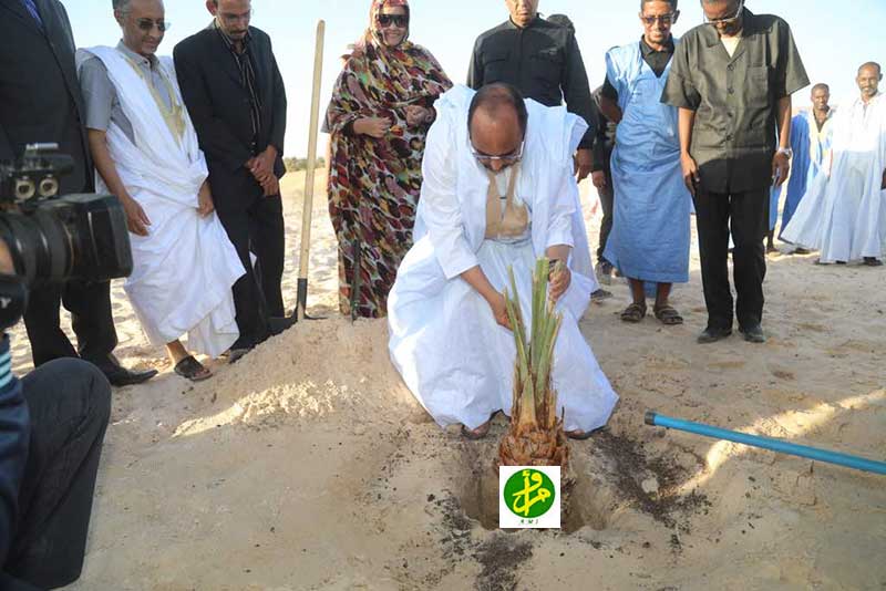 Le Président de la République supervise une opération de répartition d’oasis pilotes et de panneaux solaires