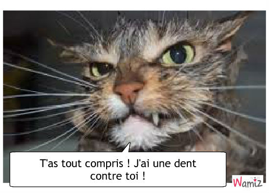 Mauritanie : Monsieur le Président de la République, j’ai une dent contre mon Ministre ! Mauritanie : Monsieur le Président de la République, j’ai une dent contre mon Ministre !