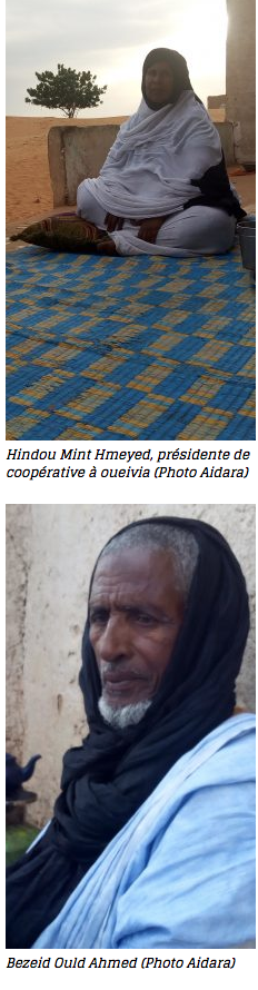 Les harratines de Keur Macène, une fierté en bandoulière entre une pauvreté endémique et des terres luxuriantes