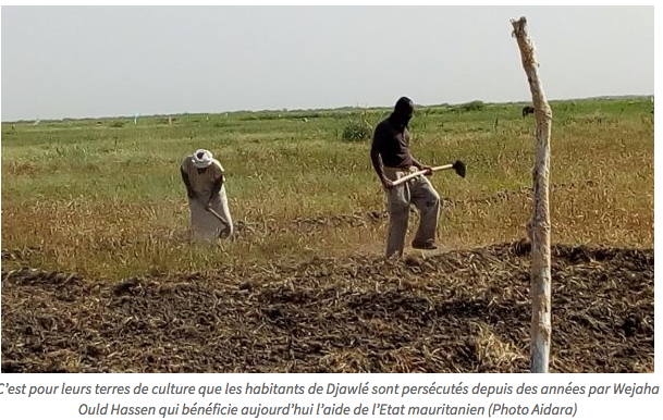 Djawlé, la face hideuse de l’esclavage d’Etat en Mauritanie Djawlé, la face hideuse de l’esclavage d’Etat en Mauritanie