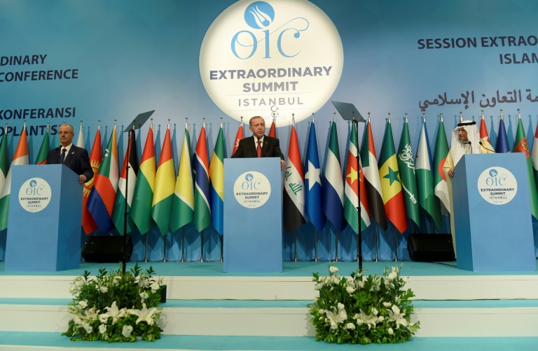 Les pays musulmans demandent une "force de protection internationale" pour les Palestiniens