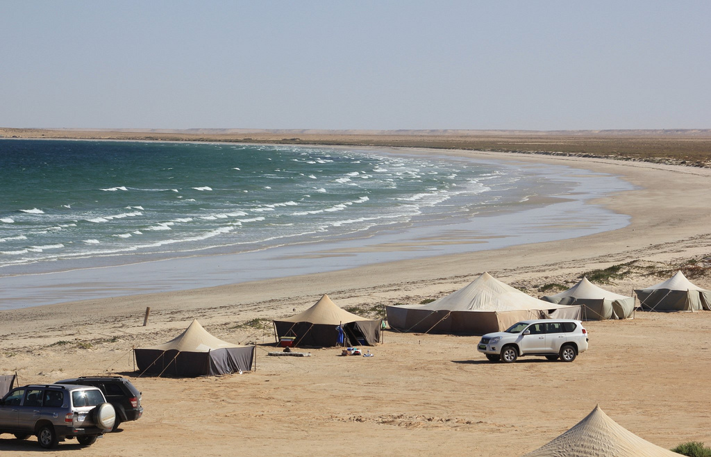 Festival international pour valoriser le banc d'Arguin : rappel et propositions Festival international pour valoriser le banc d'Arguin : rappel et propositions