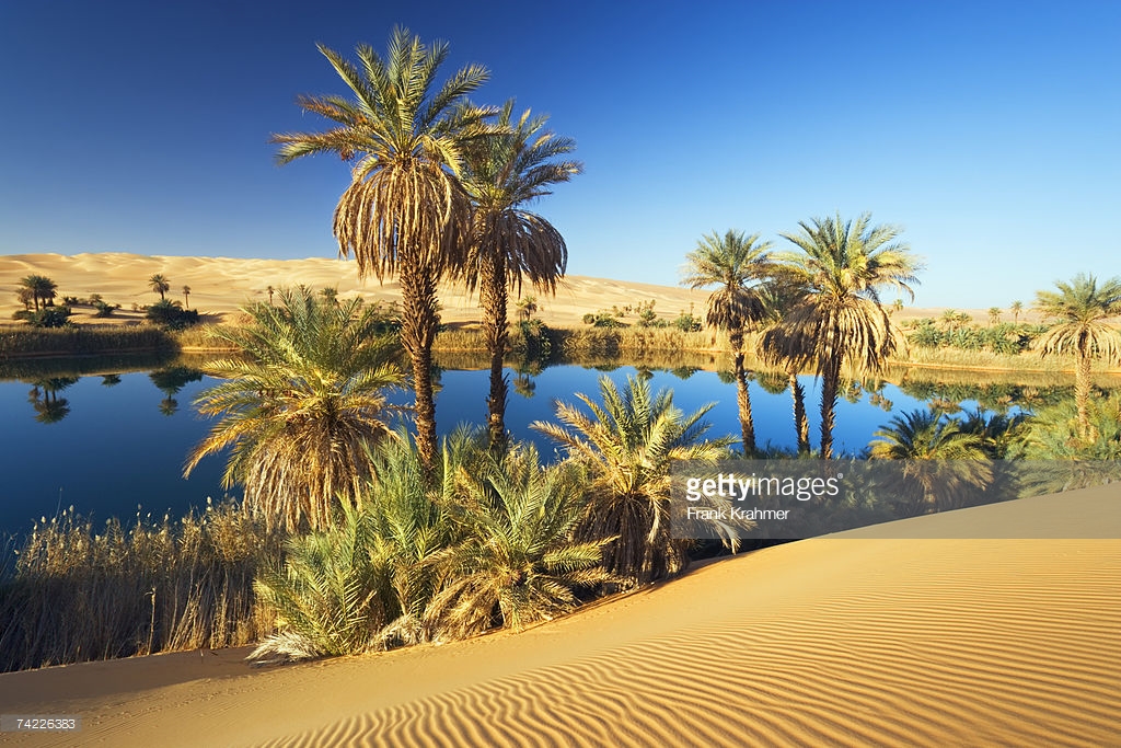 Le projet OASIS ( PDDO) : une structure à pérenniser Le projet OASIS ( PDDO) : une structure à pérenniser