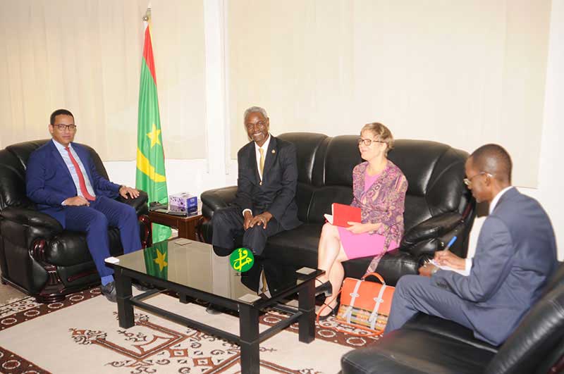 Le ministre du pétrole s’entretient avec le conseiller spécial du secrétaire général de l’ONU pour le Sahel