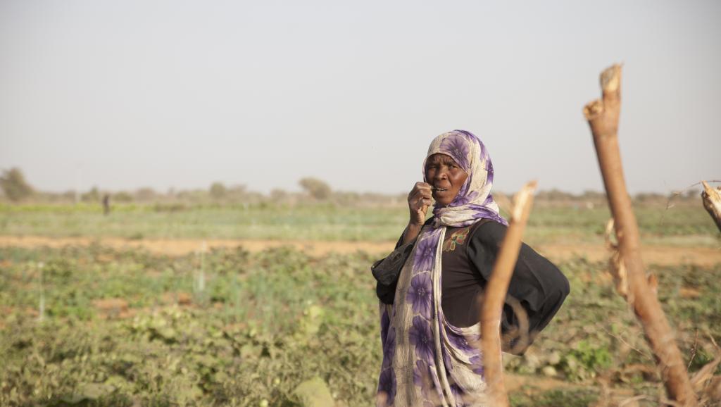 Mauritanie: la sécheresse fait des morts à l'Est du pays