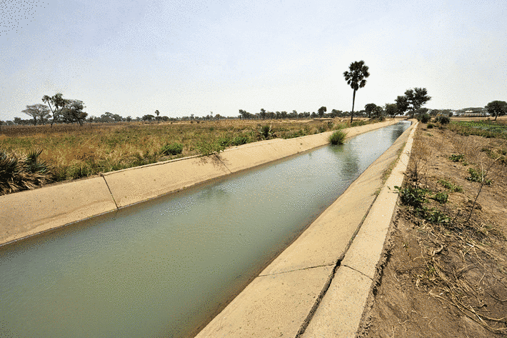 Boghé: Ouverture d'un atelier de lancement officiel du projet régional d'appui à l'initiative d'irrigation au Sahel