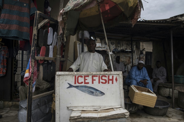 La malédiction Boko Haram continue de frapper la pêche, principale richesse du lac Tchad