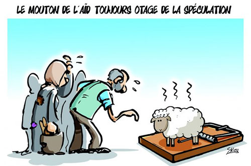 Reportage: Le mouton de l'Aid , pas pour n’importe qui !