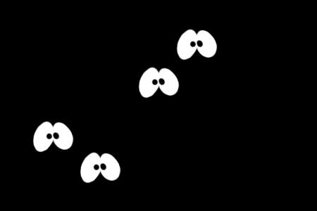 Campagne électorale à Rosso : La coupure d’électricité gâche la fête Campagne électorale à Rosso : La coupure d’électricité gâche la fête