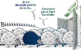 Elections : le Président appelle à infliger une défaite cuisante à l'opposition Elections : le Président appelle à infliger une défaite cuisante à l'opposition