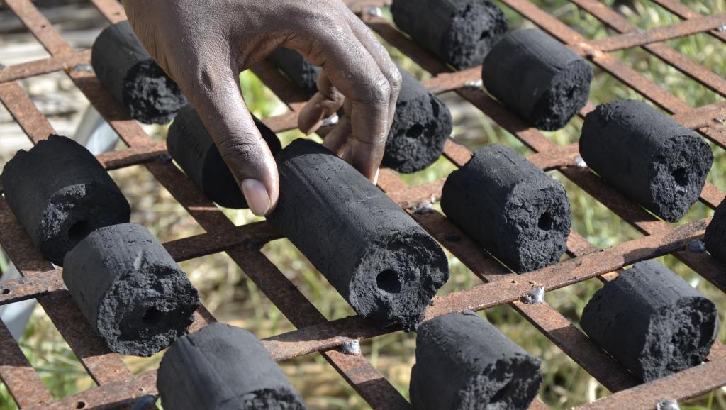 Sénégal-Mauritanie : Un projet qui fera du bien à l’environnement et l’économie