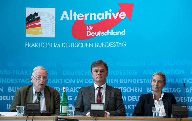 En un an, l'extrême droite a bouleversé la vie politique allemande