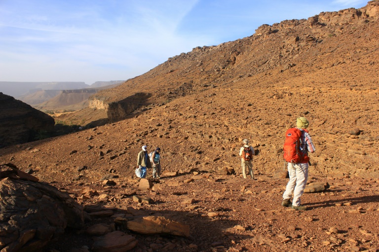 Tchad, Mauritanie ou Botswana: l'Afrique veut séduire les voyagistes français