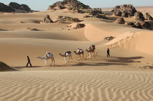 Tourisme samedi soir à Atar