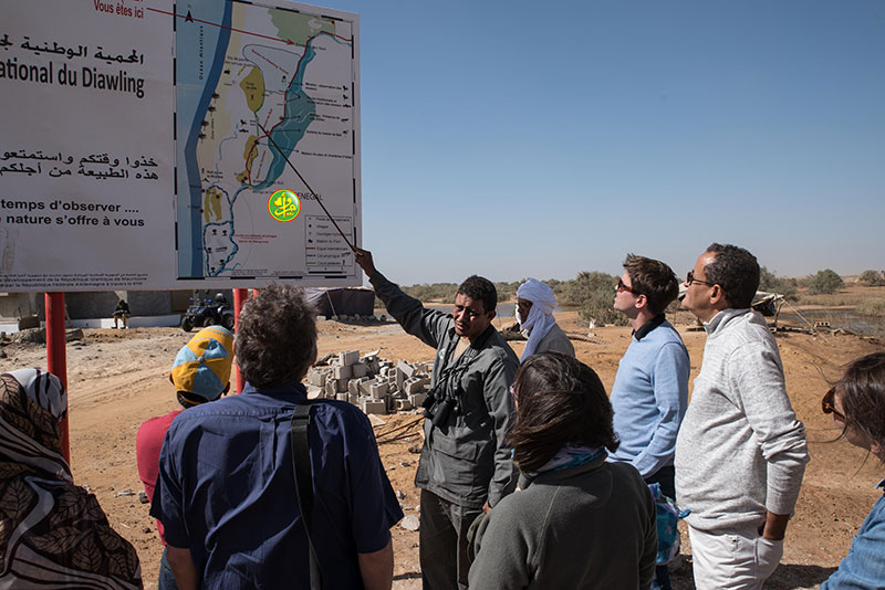 Reprise de la pêche au parc national de Diawling Reprise de la pêche au parc national de Diawling