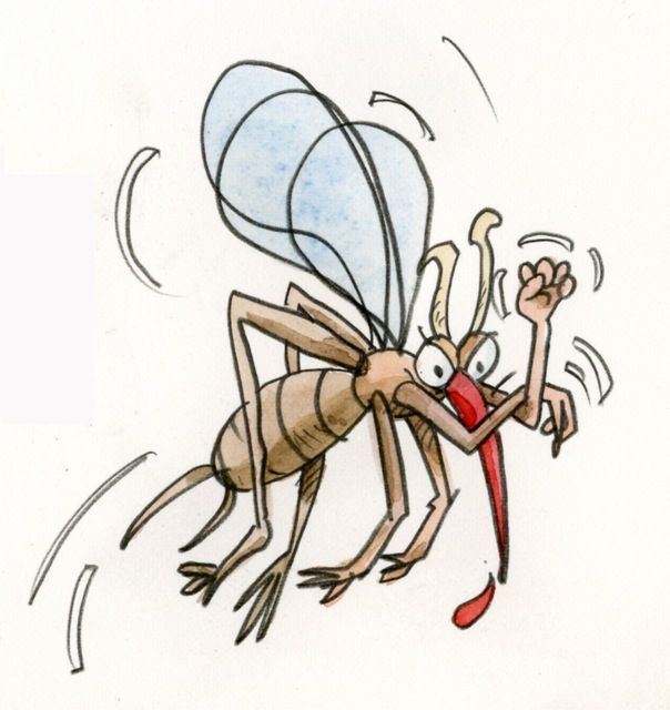 Rosso : campagne de pulvérisation des marécages et de distribution de moustiquaires