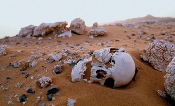 Mauritanie : des orpailleurs empêchés par l’armée d’acheminer de l’eau vers les sites de prospection
