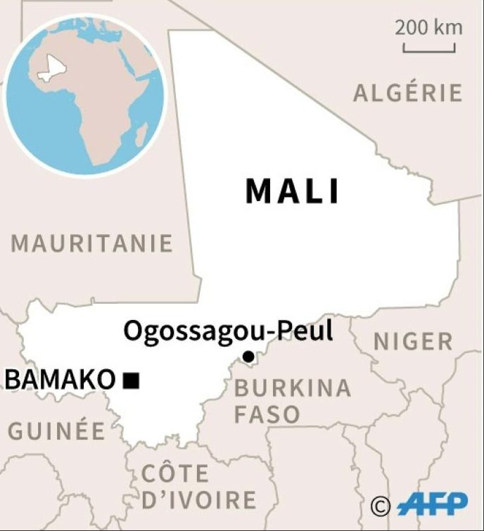 Tuerie au Mali: le gouvernement met fin à une milice de chasseurs
